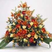 interflora_product_00523