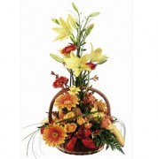 interflora_product_00535