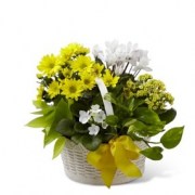 interflora_product_C22-4888