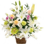 interflora_product_JAS107.jpg_product