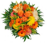 interflora_product_ODELIA