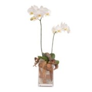 interflora_product_W20C.jpg_product